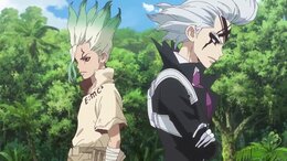 Dr. Stone