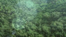 Dr. Stone English Subbed