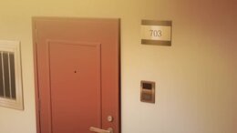 I'm Living with an Otaku NEET Kunoichi!?