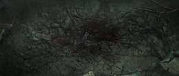 Lord of Mysteries