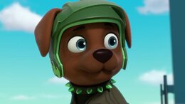 Paw Patrol