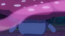 Pokemon Horizons: The Series English Subbed