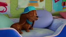 Pretzel and the Puppies