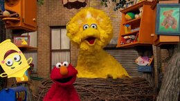Sesame Street Season 55