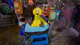 Sesame Street Season 55