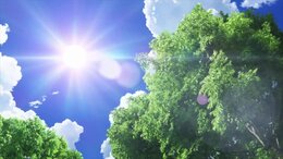 Summer Pockets English Subbed