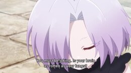 The Shy Hero and the Assassin Princesses English Subbed
