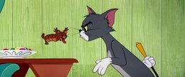 Tom And Jerry CinemaScope Collection