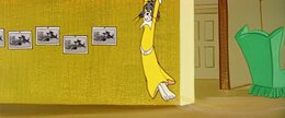 Tom And Jerry CinemaScope Collection