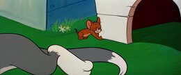 Tom And Jerry CinemaScope Collection