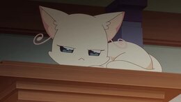 Wonderful Precure! English Subbed