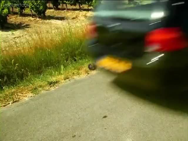 Minuscule Season 1 Episode 13 Cowardly Coward