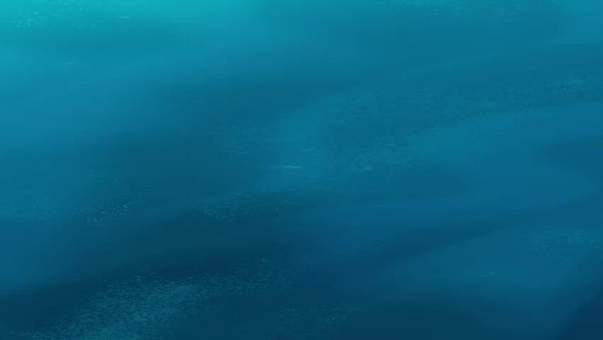 Zig & Sharko Season 4 Episode 38 Egg Hunt